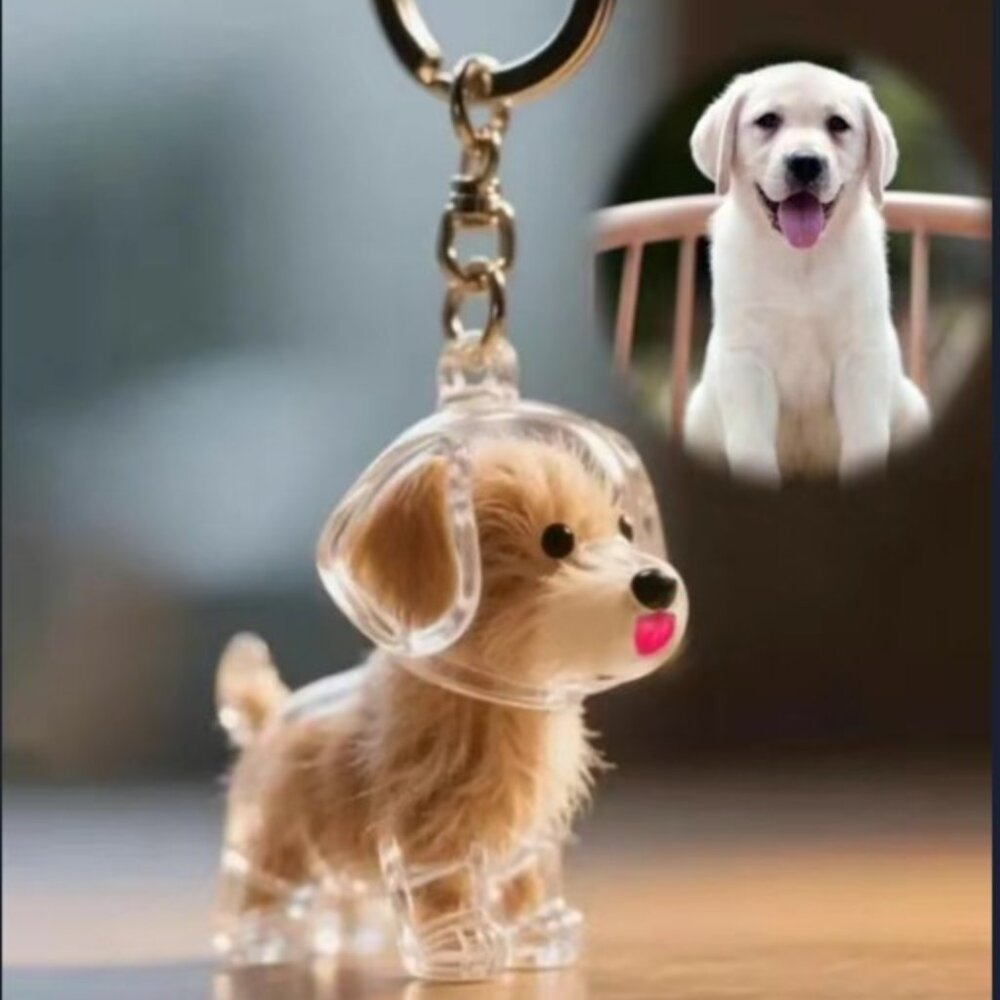 Pet Hair Keepsake Keychain (BRAND‎ NEW!)